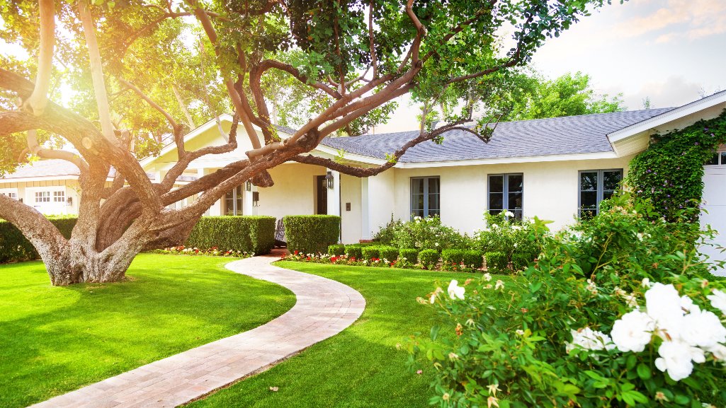 View from the sidewalk of a beautiful house with a tree in the front yard.