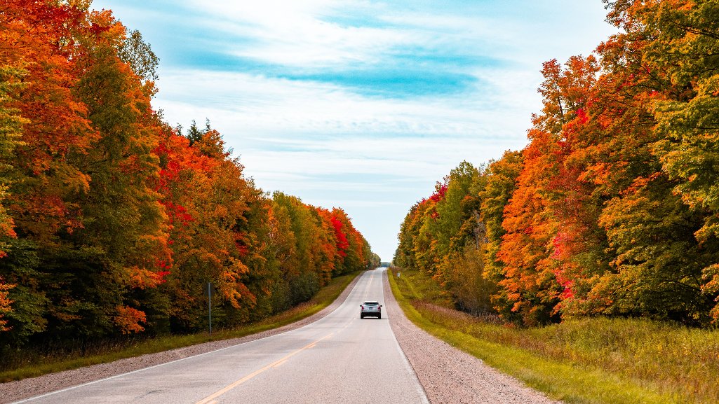 Car driving along a Michigan road through autumn foliage.