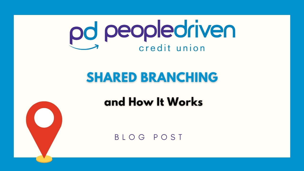 Graphic: What Is Shared Branching and How Does It Work?